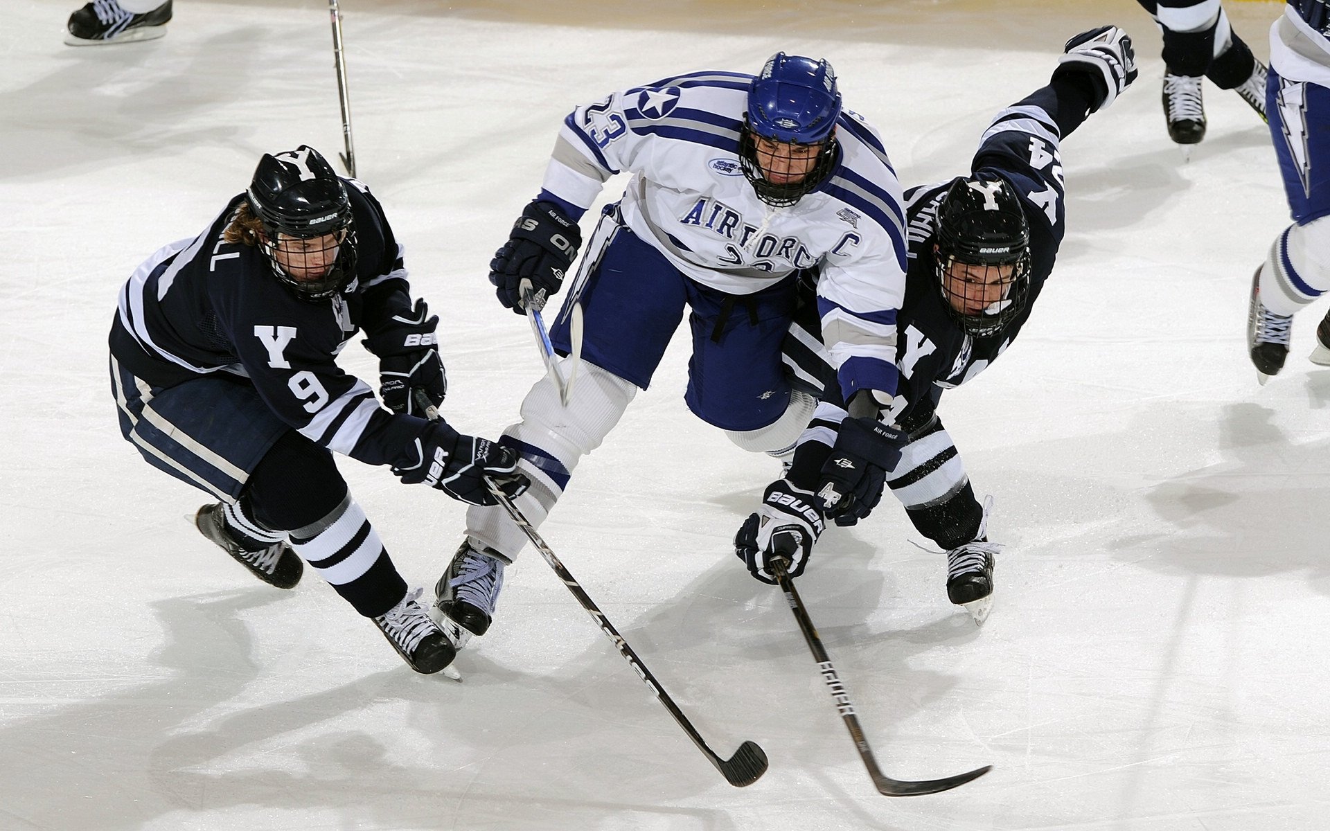 当明尼苏达的狼嚎响彻欧冠赛场,爱德华兹的跨维度统治力