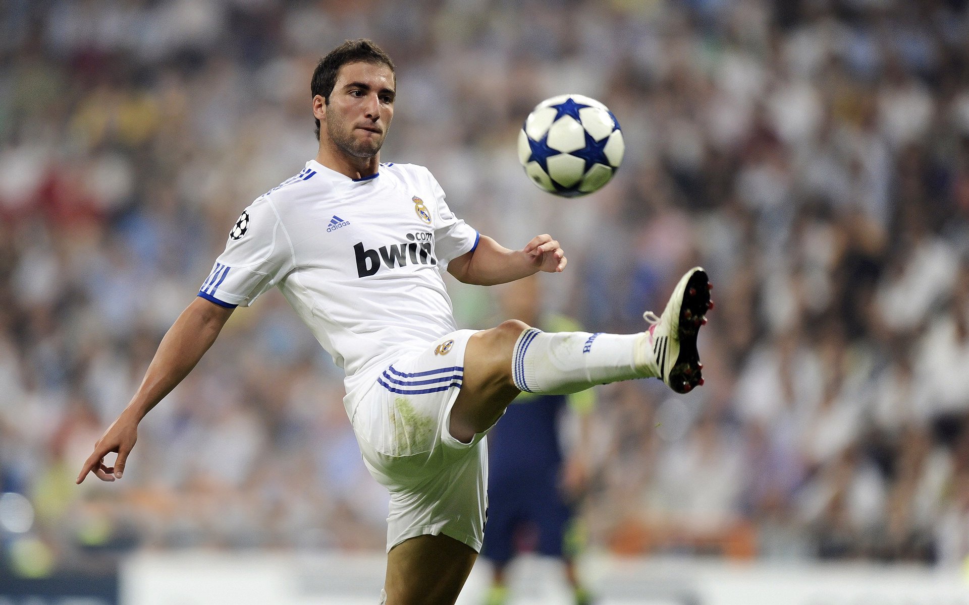 当福克斯撕碎数据刷子标签，国王的利齿已悄然抵住联盟咽喉